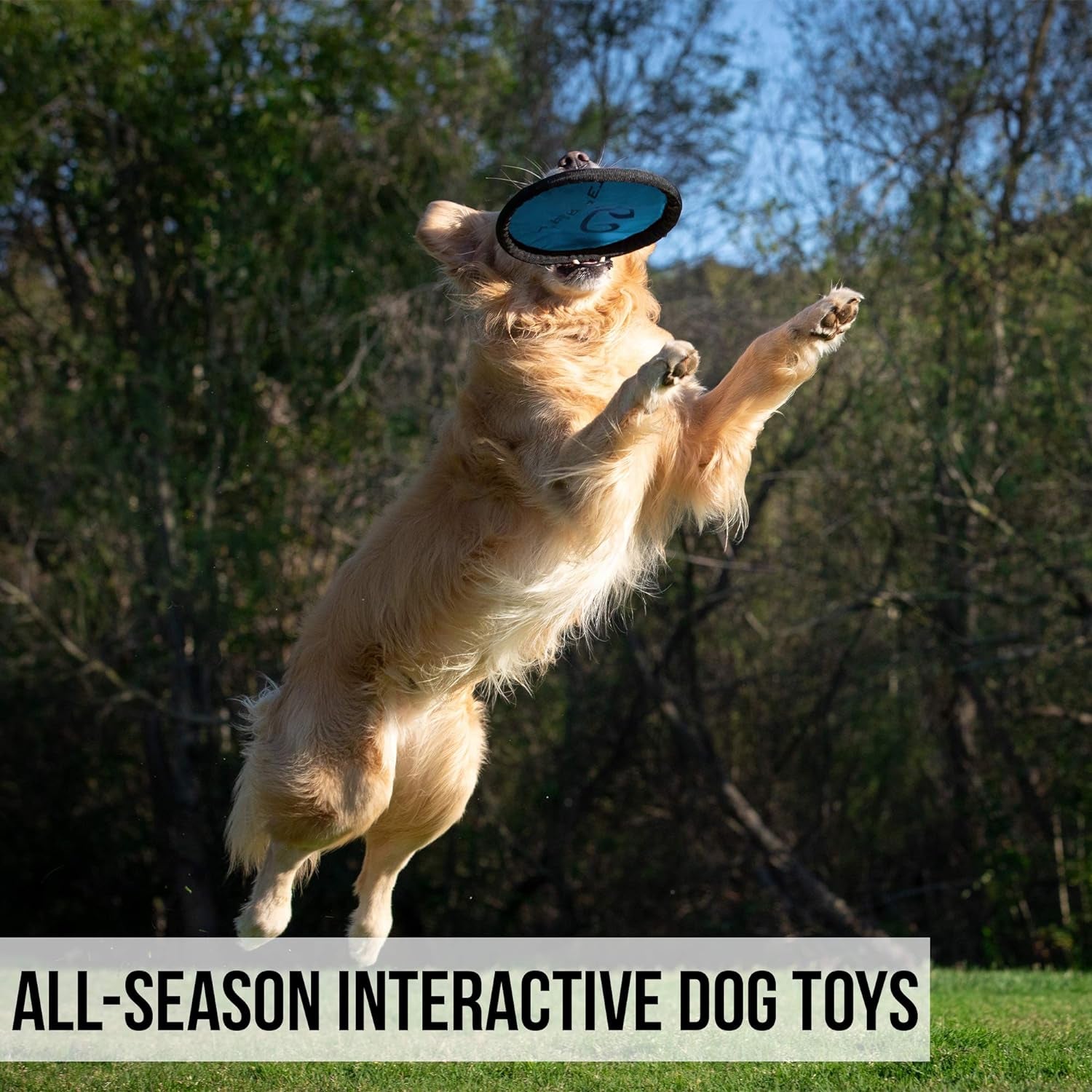 Flippy Flopper Dog Frisbee Interactive Dog Toys (Flying Disc Dog Fetch Toy - Floats in Water & Safe on Teeth) 2 Pack or 5 Pack, Colors Will Vary