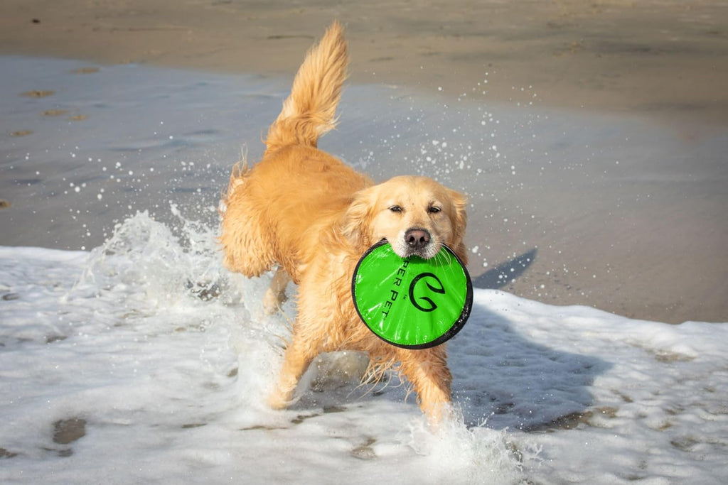Flippy Flopper Dog Frisbee Interactive Dog Toys (Flying Disc Dog Fetch Toy - Floats in Water & Safe on Teeth) 2 Pack or 5 Pack, Colors Will Vary